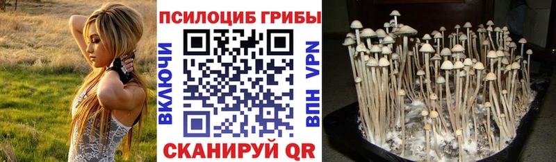 Псилоцибиновые грибы прущие грибы  закладки  hydra ONION  Тюкалинск 